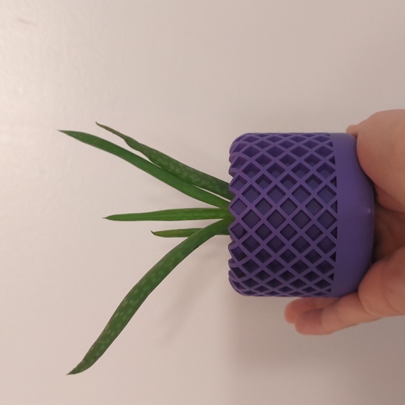 Starter plant pot 🪴 - Picture 1 of 2